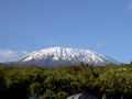 Килиманджаро.JPG