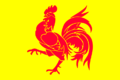 Flag of Wallonia Belgium.png