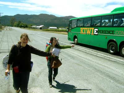 Elsa and amylin's Kiwi hitching experience